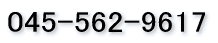 045-562-9617 