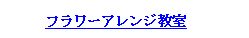 �ȉ~: �t�����[�A�����W����

